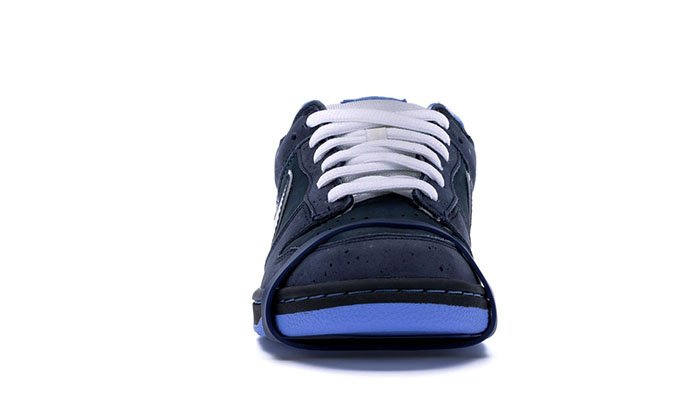 Concepts Blue Lobster