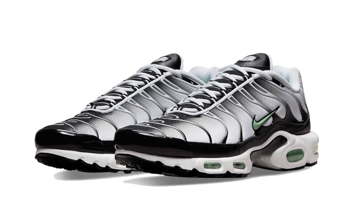 Seafoam Grey Black